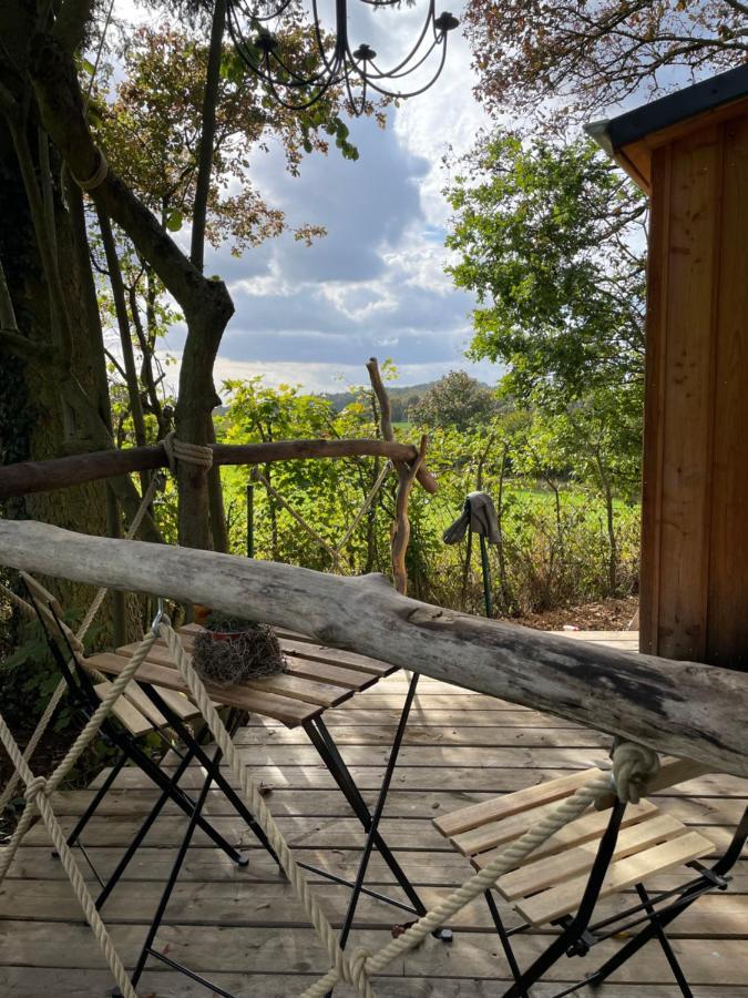 Ferienhaus Eulennest - Tiny House Im Habichtswald *