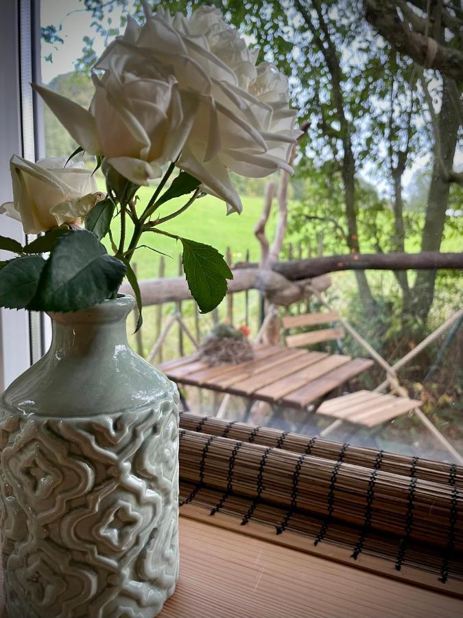 Eulennest - Tiny House Im Habichtswald Ferienhaus