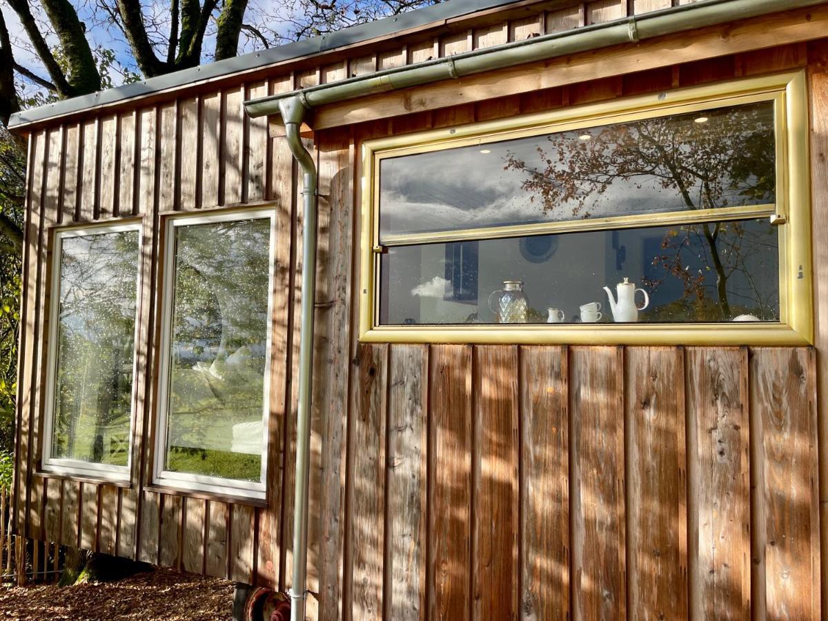 Eulennest - Tiny House Im Habichtswald * Schauenburg