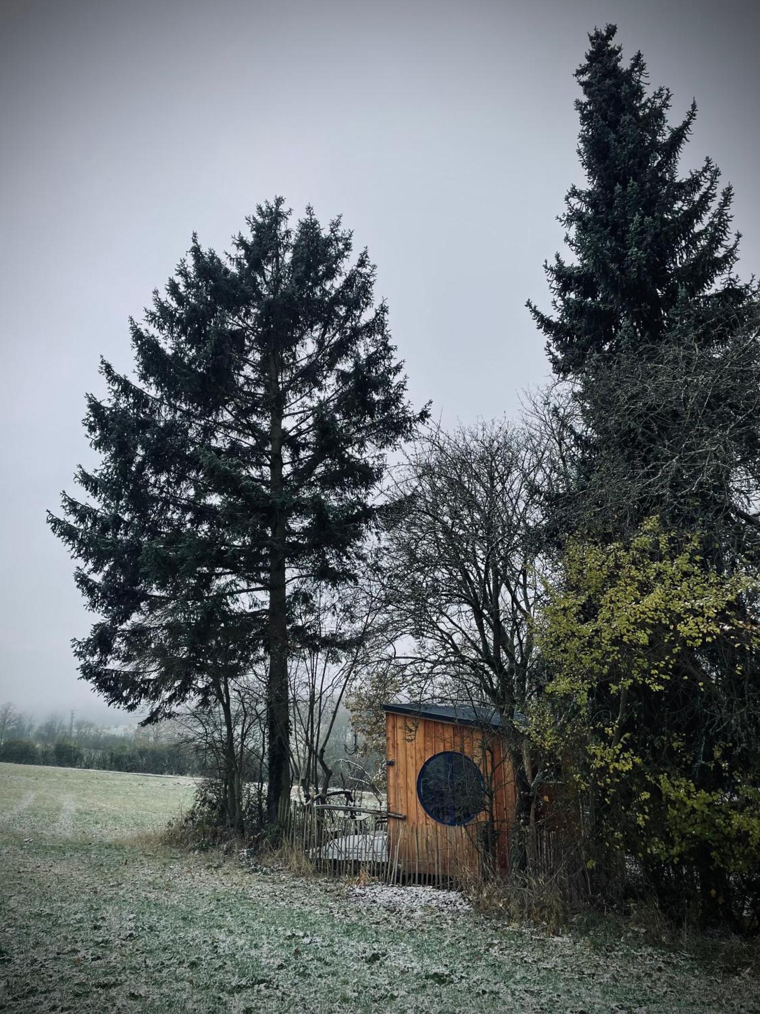 Eulennest - Tiny House Im Habichtswald Ferienhaus Schauenburg